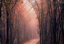 西班牙队在欧洲杯资格赛中轻松晋级下一轮：再一次燃起足球的梦想火焰