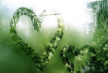 开云体育中国官网-那不勒斯迎来胜利，领跑意大利联赛——意甲激情再掀高潮