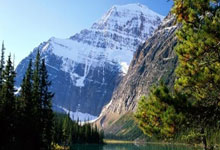 开云体育网页版入口-匈牙利战胜法国，欧洲足球史上令人振奋的里程碑