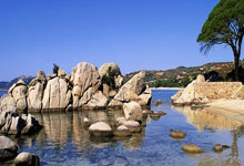 开云体育在线登录-厄瓜多尔小胜秘鲁，悬念再升！小组出线之路迷雾重重