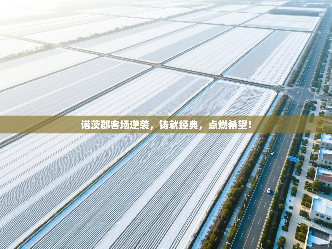 诺茨郡客场逆袭，铸就经典，点燃希望！  第1张