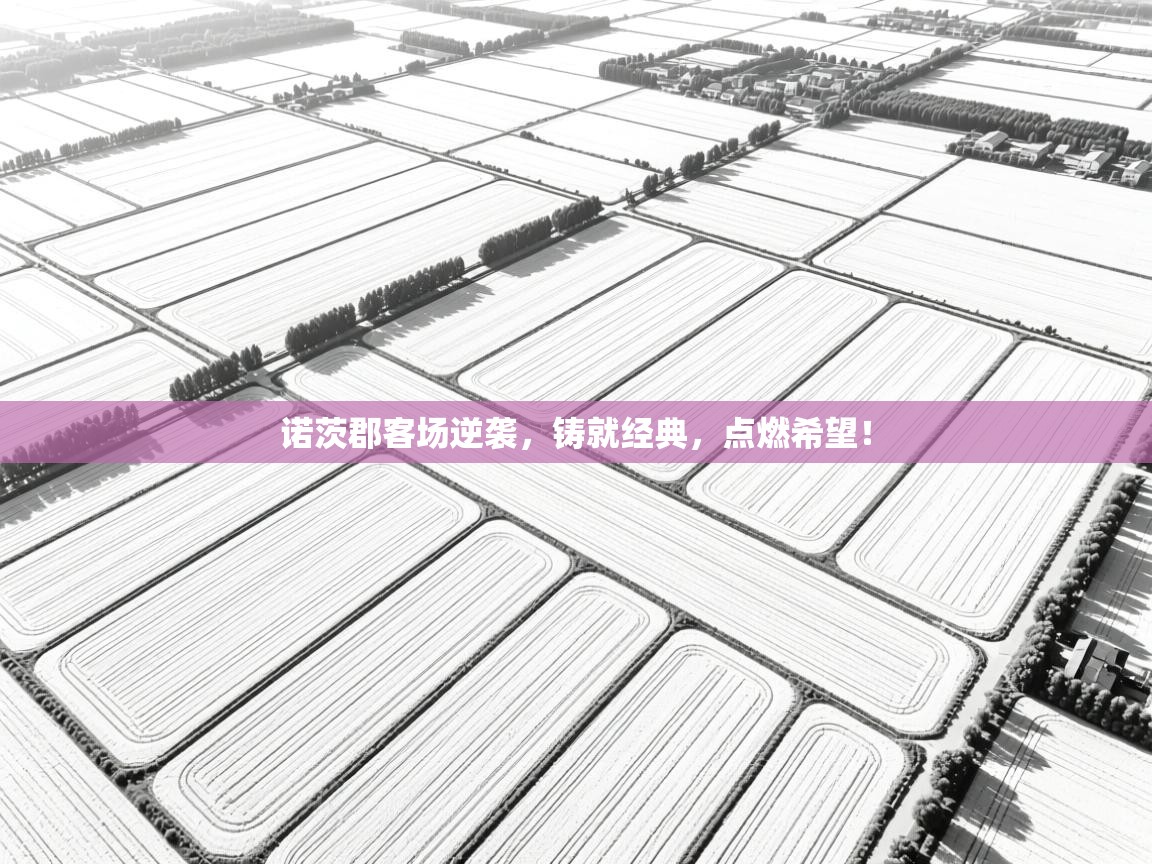 诺茨郡客场逆袭，铸就经典，点燃希望！  第2张