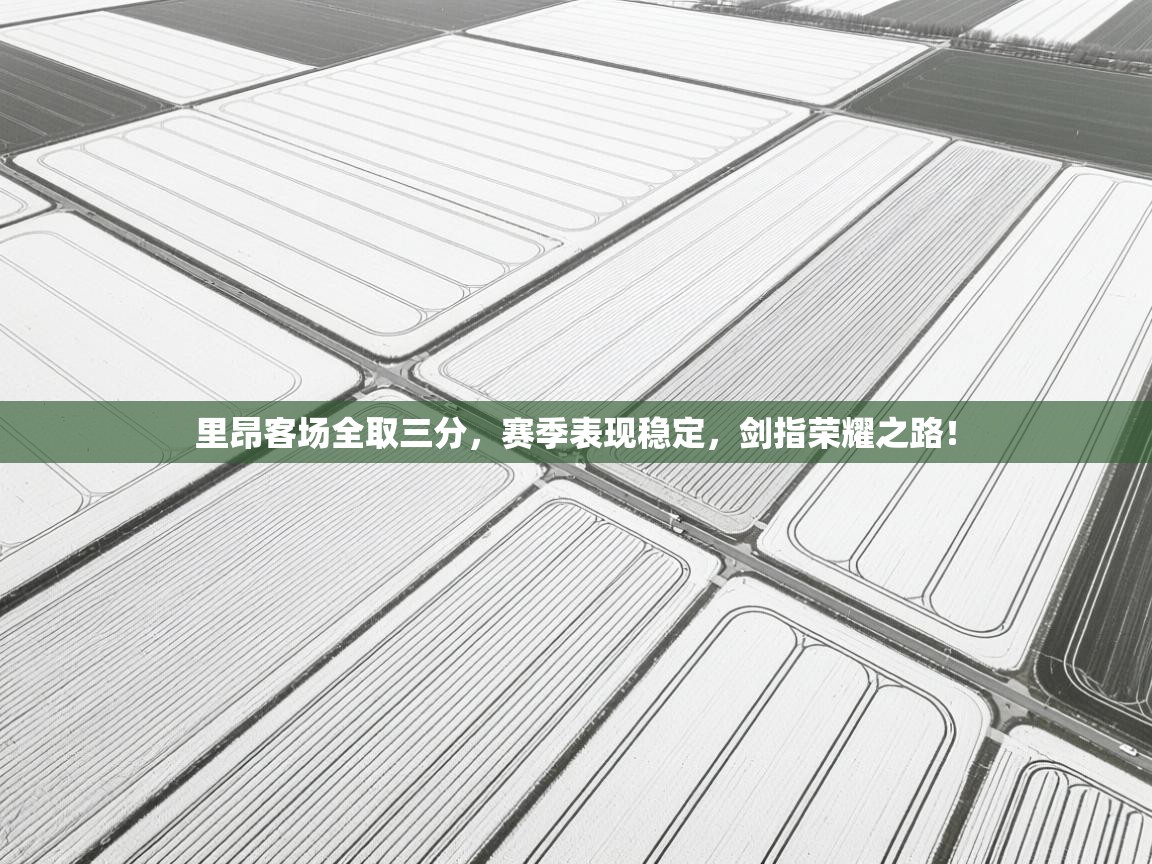 里昂客场全取三分，赛季表现稳定，剑指荣耀之路！  第2张