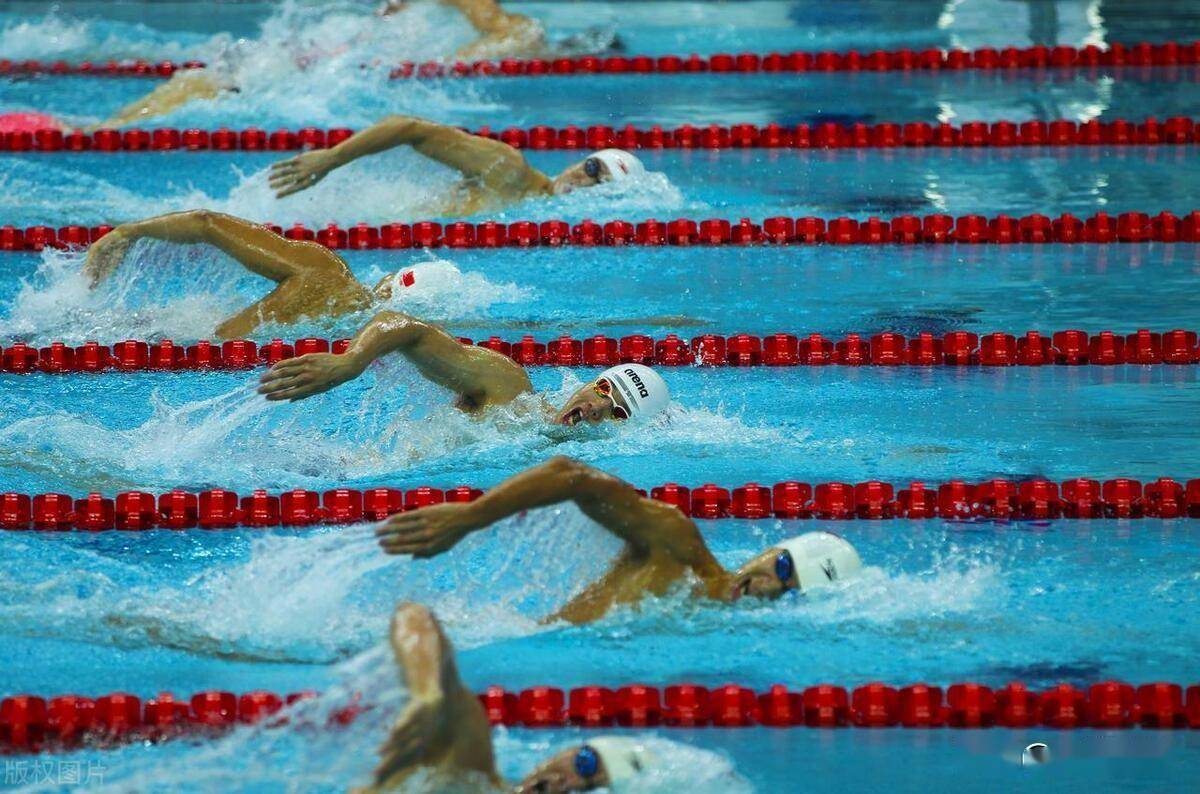 关于澳大利亚游泳选手表现稳定，夺得多枚奖牌的信息