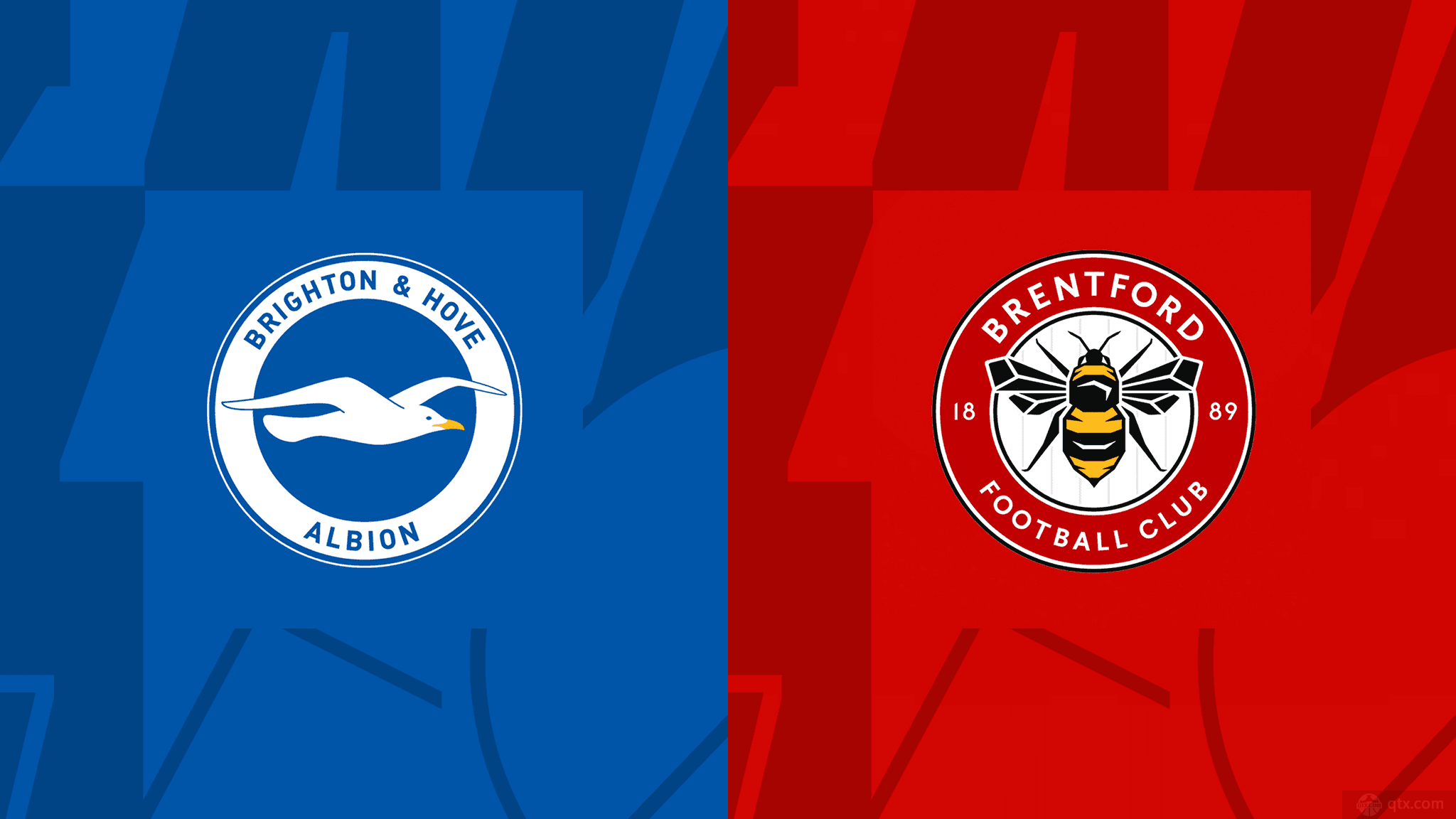 关于华尔福德客场击败布莱顿，英超保级前景一片光明的信息