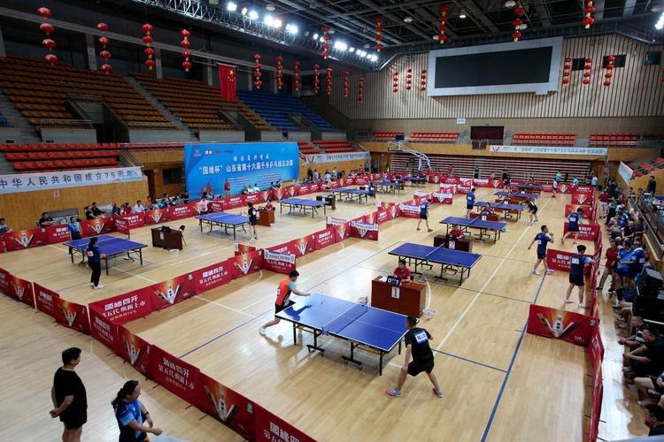 喜获丰收：乒乓球选手再获胜利的简单介绍