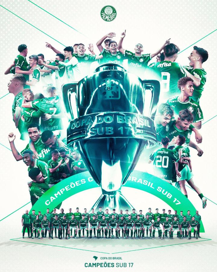 帕尔梅拉斯球迷现场助威，激发球队夺冠斗志的简单介绍