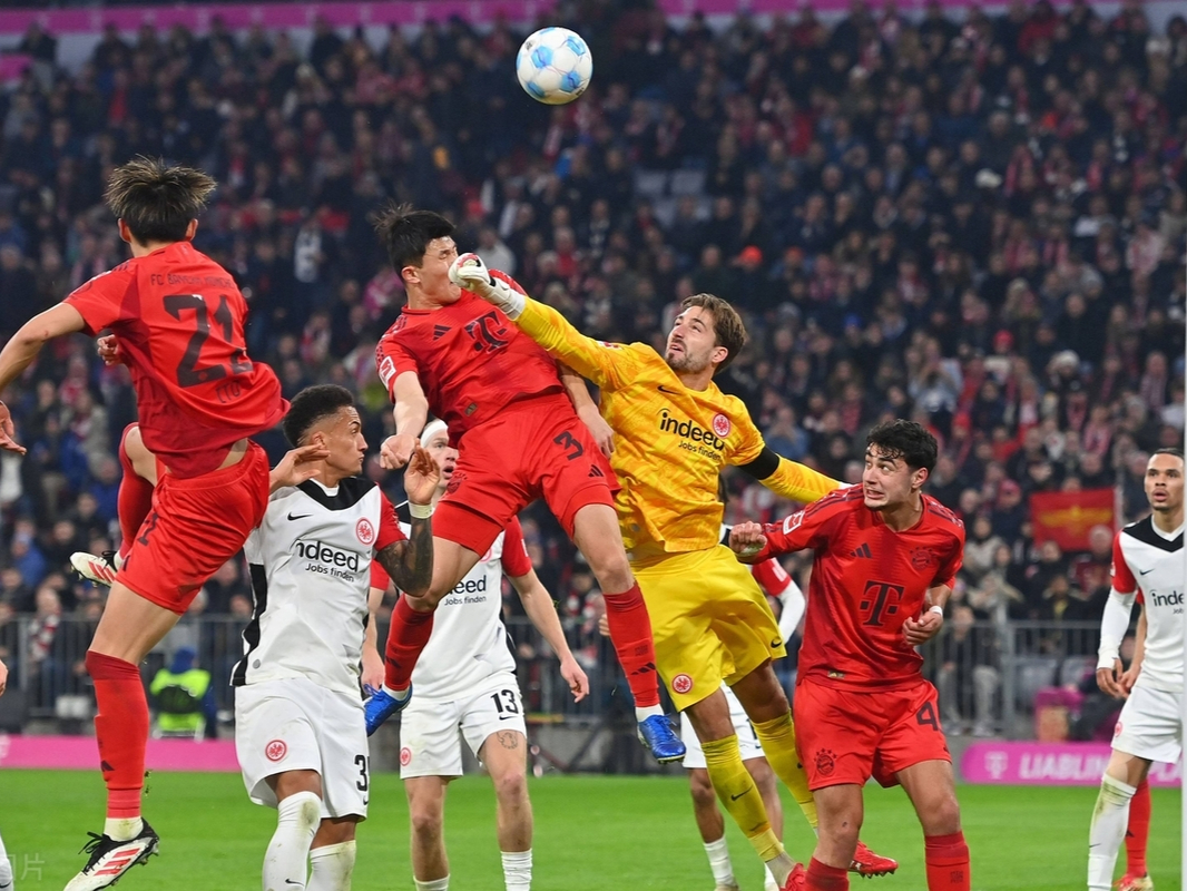 拜仁慕尼黑控制全场，轻松战胜对手的简单介绍