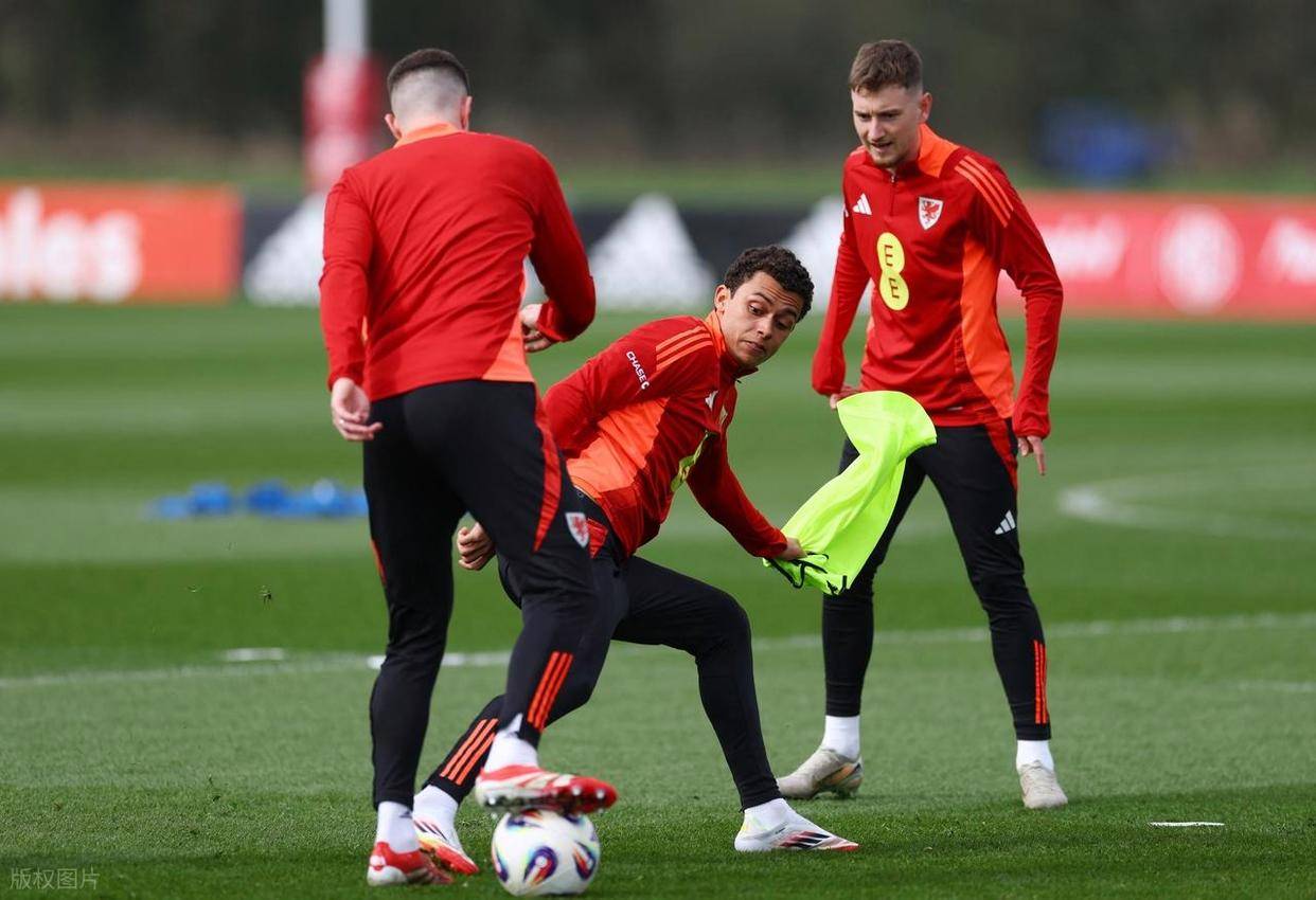 比利时队在欧预赛中战绩斐然，竞争加剧的简单介绍